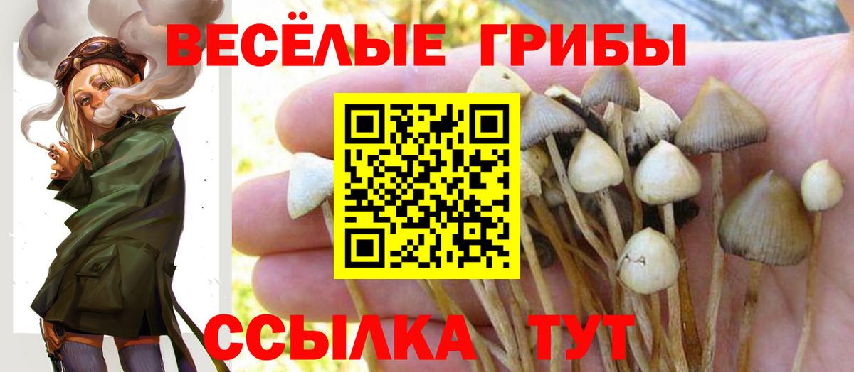 Галлюциногенные грибы Psilocybine cubensis  Вход с VPN  Ишим  Псилоцибиновые грибы Psilocybine cubensis 